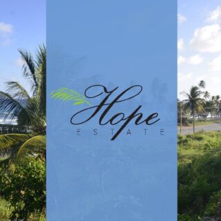 Residential Land for Sale- Hope Estate, Tobago