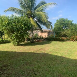 FOR SALE: COUVA, ROYSTONIA