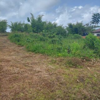 Land for Sale in Cumuto