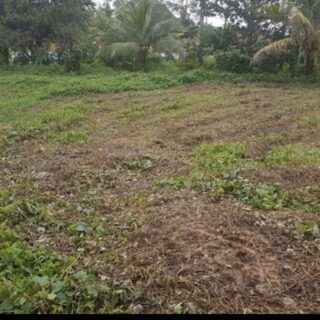 Approved Building Lot, Cunapo Southern Main Road, Rio Claro – $300,000.00