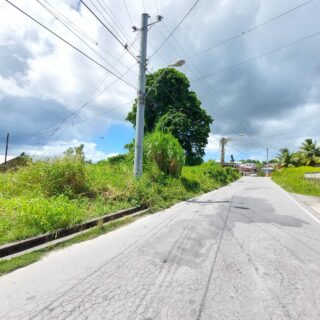 Prime Residential/ Commercial Land For Sale- Penal