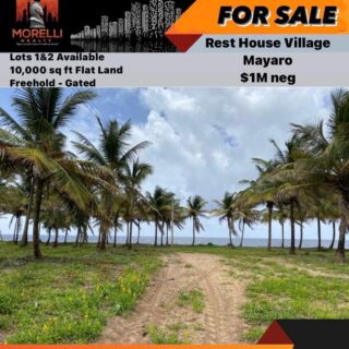 Rest House Village, Mayaro – BEACH FRONT LAND FOR SALE