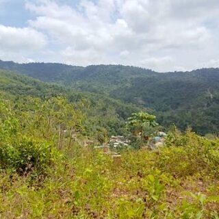 Land For Sale – Acono Ridge, Phase 2, Maracas Valley, St Joseph – $750,000TT
