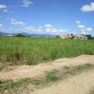 Residential Land Heritage Road, Chin Chin ( CASH BUY ONLY )