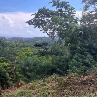 Tobago Land For Sale