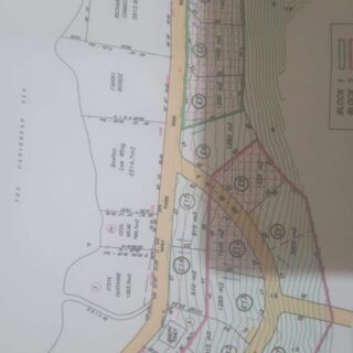 Toco Land! 1 @ 13,000 sq ft and 2 @ 15,000 sq ft  Parcels on  the Paria Main Road, L’anse Noire – $500,000.00 Neg.