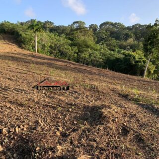 Tobago, French fort – Land for Sale