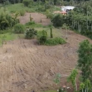 Cumuto Land For Sale