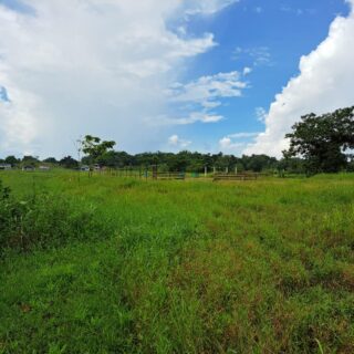 ONE (1) ACRE HOMESTEAD PARCEL OF LAND FOR SALE, CUNJAL ROAD BARRACKPORE