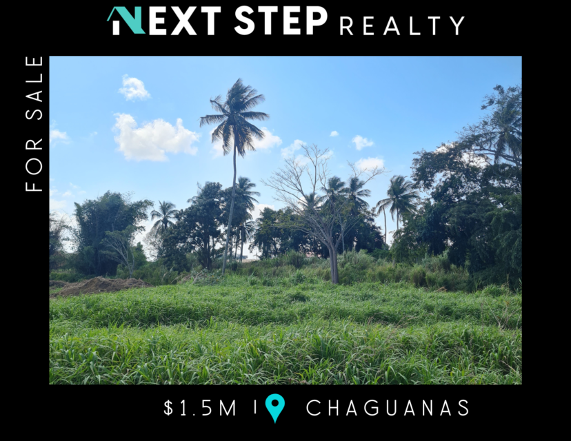 Chagunas land for sale