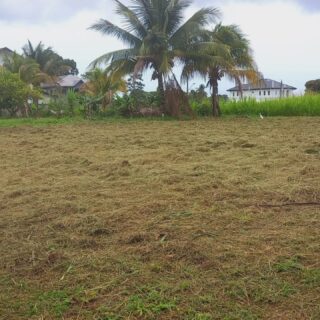 FLAT LAND IN GATED COMMUNITY, D’ABADIE