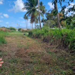 🔷Kelly Village Land for Sale – $800,000 (negotiable)