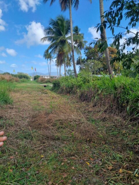🔷Kelly Village Land for Sale – $800,000 (negotiable)
