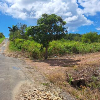 9.1 ACRES FREEHOLD LAND FOR SALE MULCHAN TRACE PENAL ROCK ROAD