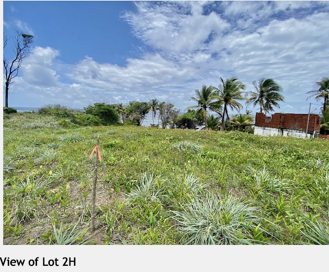 Land for sale, Toco
