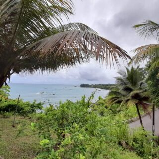 Land for Sale Toco
