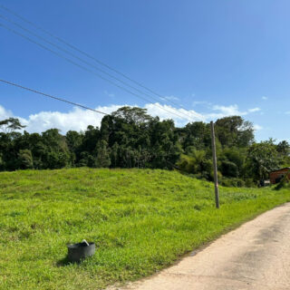 Land For Sale In Palo Seco