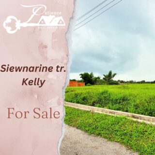 Land for sale, Siewnarine tr. Kelly