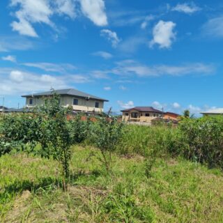 🔷Lot 55 Madras Road Cunupia Land For Sale -$430,000 (negotiable)