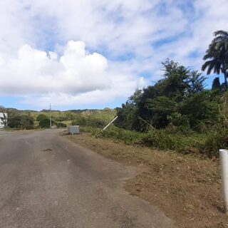 Hope Estate TOBAGO- 10,000sqft Land
