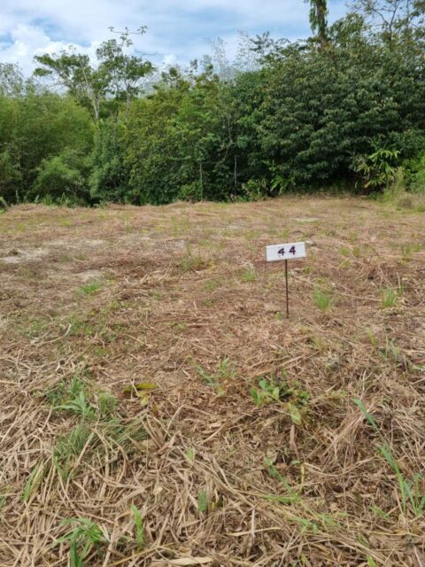 Residential Land For Sale – Sangre Chiquito