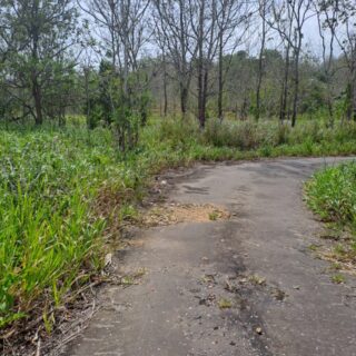 📍 AGRICULTURAL LAND FOR SALE SITUATED AT MOOLCHAN TRACE, PENAL ROCK ROAD, PENAL💫 