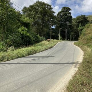 Tobago Residential Land 5 acres $4.5M