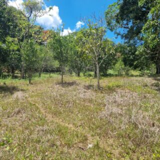 🔷Gran Couva approved land for sale – $3,000,000