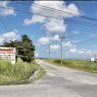 WARRENVILLE 2 Acre Homestead
