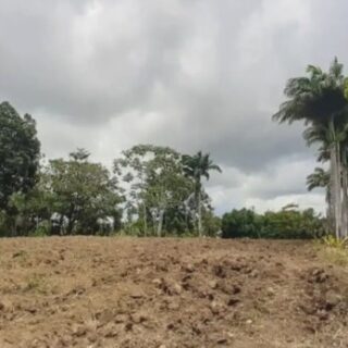 Princes Town, Borde Narve 6.5 Acres