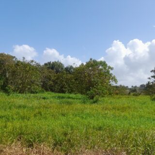 Piarco Land