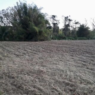 📍 Land for Sale :  Mc Pancham Street, off Cipero Road, Borde Narve Village,  San Fernando 💫