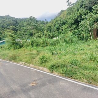 Land for sale – Perseverance, Maraval