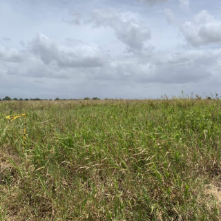 Waterloo land for SALE