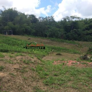 De Gannes & Jawahir off Little Caura Rd, Cumuto – Land for Sale