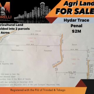 Hydar Trace, Penal – AGRI LAND FOR SALE
