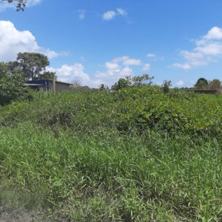 Piarco 1 Acre Parcel of Land for Sale