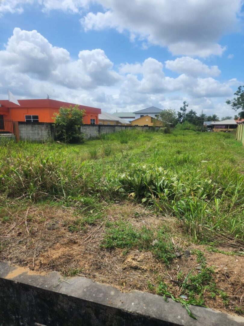 Cunupia, Jonathan Trace Land for Sale | My Bunch of Keys