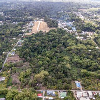 Land For Sale – Mandillon Road, Sangre Grande – $4.5MTT