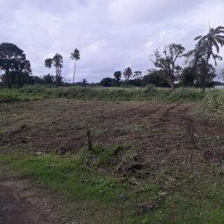 Land for Sale in Gran Couva