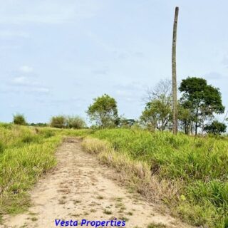 Land for Sale – St. Helena