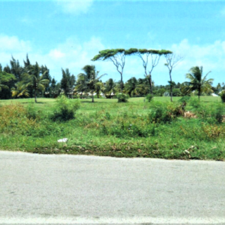 Tobago Plantations, Lowlands Tobago Beautiful Parcel of Land For Sale