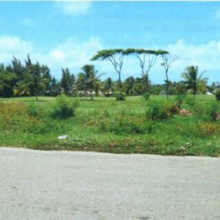 Lot 122 Tobago Plantations, Lowlands, Tobago