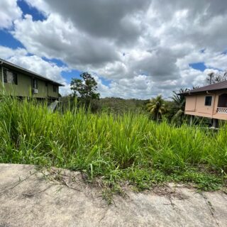 Lengua Road, Princes Town – Land For sale – TT$ 500K