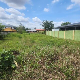Cunupia, Jonathan Trace Land for Sale