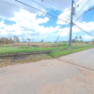 FULLY APPROVED LOTS FOR SALE, SAN FRANCIQUE, PENAL $285K