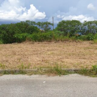 Charlieville East, Taakaful Gardens Land For Sale