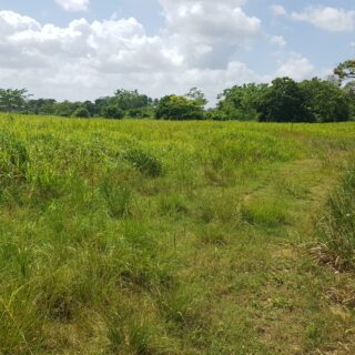 Barrackpore 23 Lots Of Land For Sale