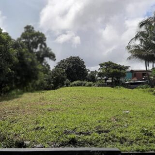 Chase Village, Orange Field Main Road 3 1/2 Lots of Land For Sale
