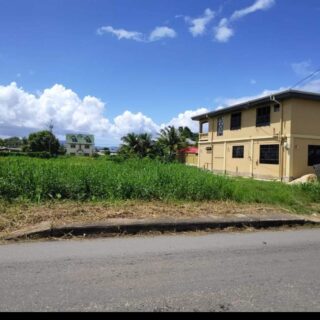 Deal Alert!  Valuation $1.1m. Asking $850k. 10,000sqft of land on Chin Chin Rd, Cunupia